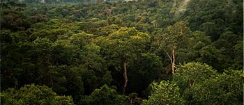 جنگل آمازون (( درس جغرافیا ))