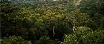 جنگل آمازون (( درس جغرافیا ))